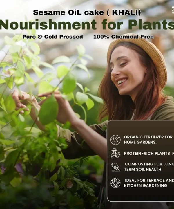 sesame oil cake khali