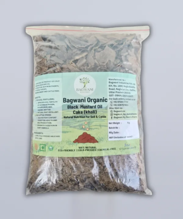 black mustard plant cake khali